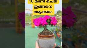 flowers #flower #agriculture #gardening #garden #flowers #home #birds #farming #pets #food #shorts