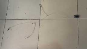 EASY FISHING RIG FOR BAIT FISHING 