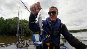 Is this the best fishing river in QLD Australia? (Catch & Cook)