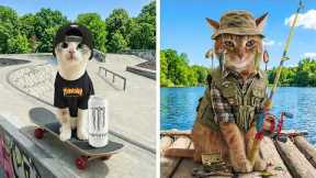 My Cats Try Hobbies That Match Their Human Ages 