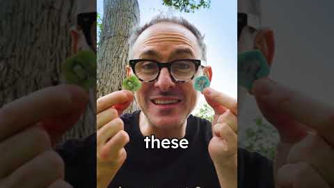 Smallest Bills in The World | Only Place With Plastic Coins | pridniestrovie Transnistria