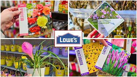 New at Lowe’s Garden Center | March 2026 Spring Plant Arrivals