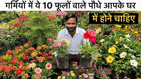 Garmiyon Mein Lagane Wale 10 Best Flower Plants Full Guide 