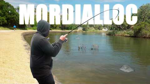 I Used to Hate Fishing Here... But I Didn't Expect to Catch This!