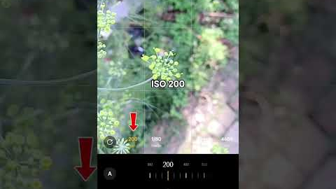 Tricks With Phone Using Pro Mod 📸 || Mobile Photography Hacks 💥