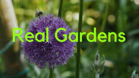 The Complete Guide to Wildlife Friendly Gardening...