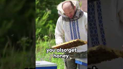 Unleash Your Creativity: 7 Unusual Hobbies to Try Today!