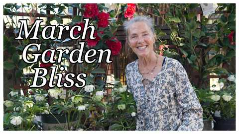 What's New This Week at Cottage Gardens? Marching Forth into Garden Bliss! 🌺 #gardening #gardentips