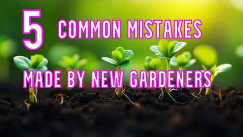 Easy Gardening For Beginners. 5 biggest mistakes made by first time gardeners .