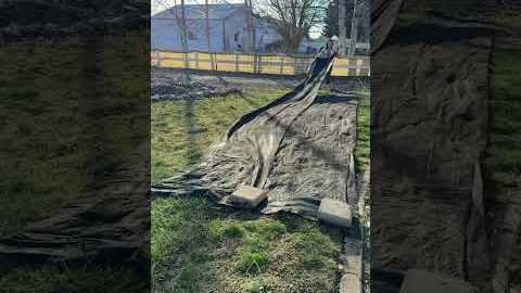 How to turn your lawn into flowers the easy way