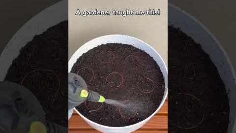 Genius potting hack using plant packaging! 🌱 #genius #plants #hack