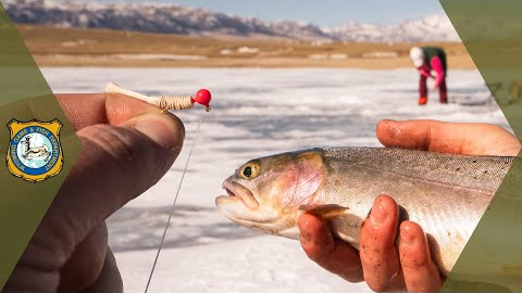 Ice Fishing Basics for Beginners