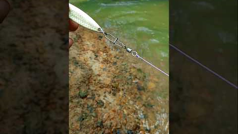 How to properly set up a fishing lure #fishing #fishingknot #lure #fishinglures #tutorial