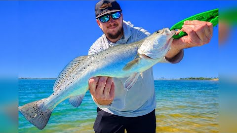 Fisherman’s DREAM DAY! Inshore Fishing for Redfish, BIG Speckled Trout, and Flounder!