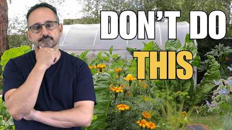 5 Beginner Garden Mistakes You Need to Stop Now