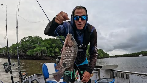 Fishing Port douglas (Catch & Cook)