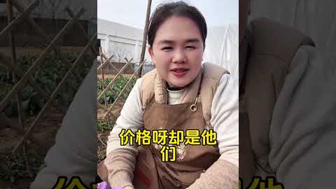 Flower Gardening: Easy Tips for Growing Beautiful Blooms