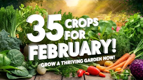 35 Crops to Plant in February for a Thriving Garden | Gardening Tips & Time-Lapse Guide
