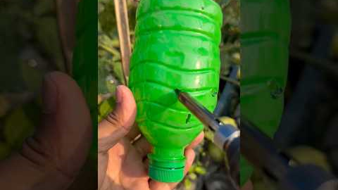 Planting bokchoy by using unique technique blank bottles #gardening #viralvideo #ytshorts