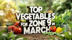 Best Vegetables to Plant in March in Zone 9: Easy Gardening Tips for a Thriving Spring Garden!