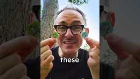 Smallest Bills in The World | Only Place With Plastic Coins | pridniestrovie Transnistria