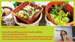 Collecting as a Hobby