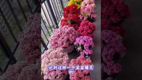 Top 10 Easy Flower Gardening Tips for Beginners