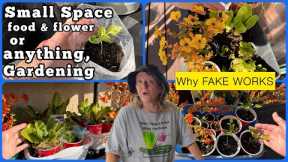 Fake Flowers Saves Lettuce ￼& Pepper Seedlings, Container Gardening Small Space Balcony Terrace Deck