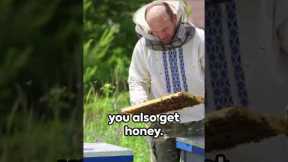 Unleash Your Creativity: 7 Unusual Hobbies to Try Today!