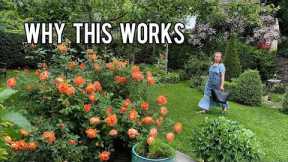 5 Gardening Hacks That Create a Beautiful Rose Garden