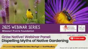 Grow Native! Webinar  Dispelling Myths of Native Gardening