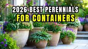 😍 10 Easiest Perennials for Container Gardening 🌿(Low Effort, Big Impact!)👌