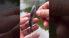 The Berkley Gilly #urbanfloridafishing #fishingtutorial #fishinghowto #howtorigaswimbait #fishing