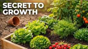 Gardening for Beginners: The Tips Nobody Shares