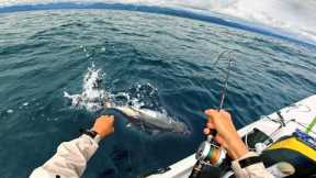 I Didn't Think It Was Possible... Remote South Island West Coast ( Catch Cook )