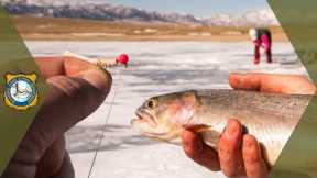 Ice Fishing Basics for Beginners