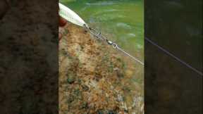 How to properly set up a fishing lure #fishing #fishingknot #lure #fishinglures #tutorial