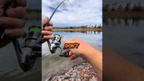 The Perfect Fishing Starter Kit🎣