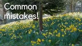 What Most Gardeners Get Wrong About Daffodils (Expert Tips)