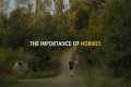 The Importance of Hobbies | Simple