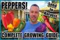 Pepper Growing Tips - Complete