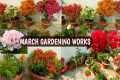 MARCH GARDENING WORKS 🏡🌸 | MONTHLY