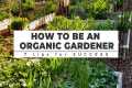 How to be an ORGANIC GARDENER: 7 Tips 