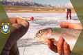 Ice Fishing Basics for Beginners