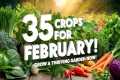 35 Crops to Plant in February for a