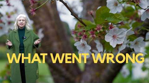 What's new in my garden - and 2 mistakes I made!