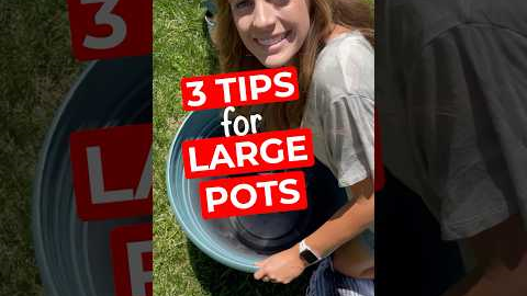 3 tips for planting large pots #greenthumb #planthack #pottedplants #plantlover  #planttherapy