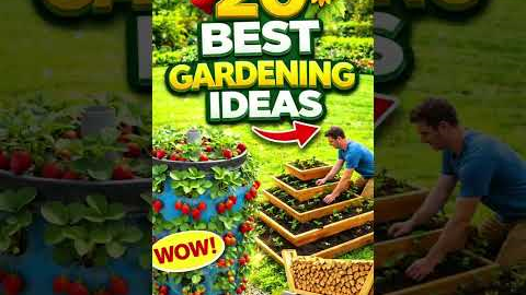 20 Genius Gardening Ideas You’ll Wish You Knew Earlier 🌿