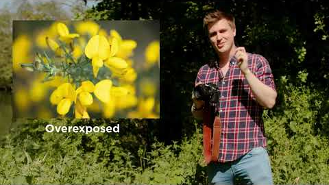 Lesson 7, exposure: Photography for Absolute Beginners (Manual Mode Made Simple)