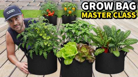 Gardening In GROW BAGS Is So EASY It's Like Cheating!